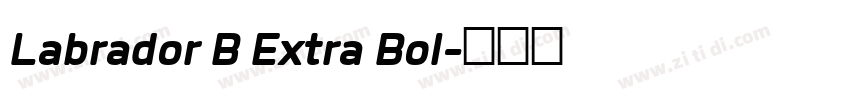 Labrador B Extra Bol字体转换